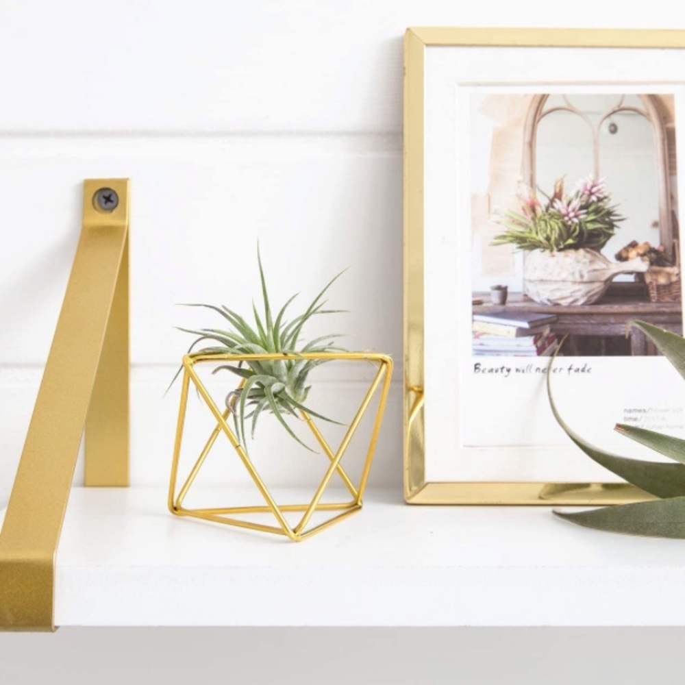 NWT ✨One Small Gold Air Plant Holder 🌱Metal Himmeli Decor Modern Geometric …